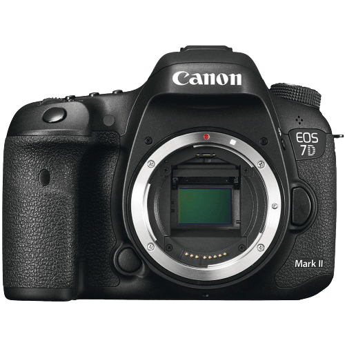 Kleuterschool ze inschakelen Canon 7D Mark II: A Yearlong Review (Still a Good Camera?)