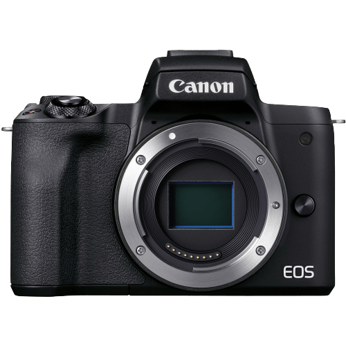 12 Best Mirrorless Cameras for Travel in 2023 - 45