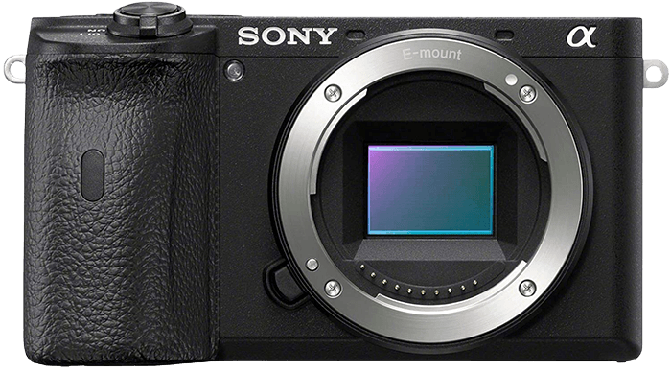 Sony a6600