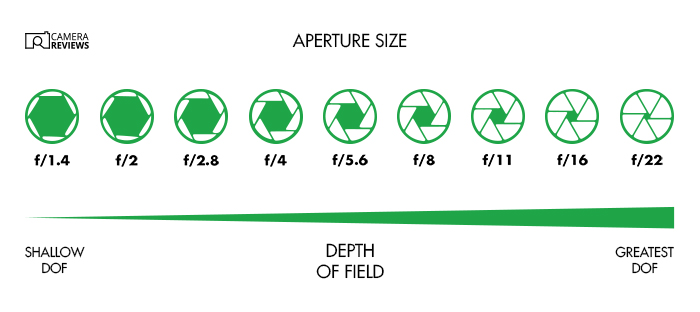 Camera terms graphic showing aperture sizes f/1.4 to f/22