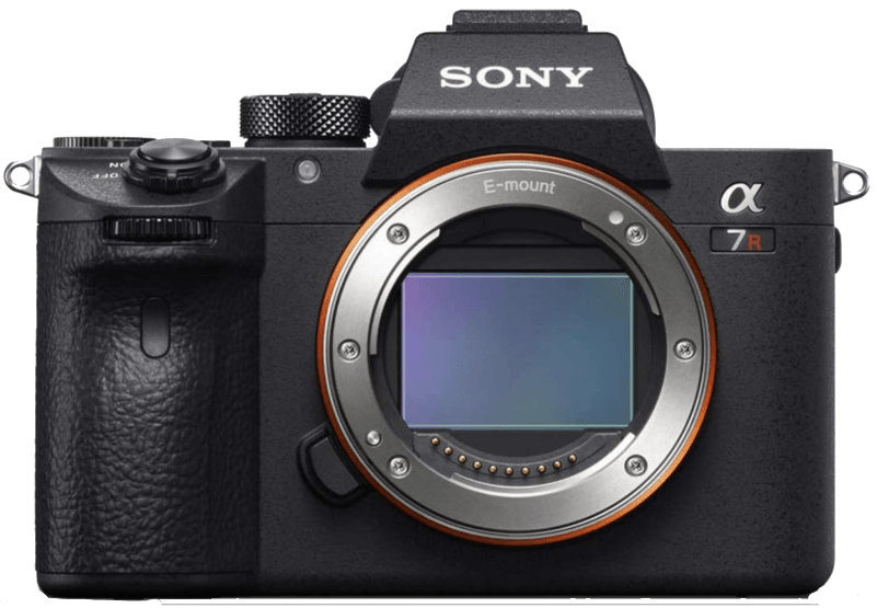 14 Best Digital Cameras in 2023  Updated Monthly  - 12