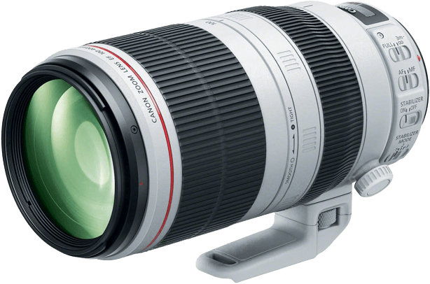 Canon EF 100-400mm F/4.5-5.6L IS II USM