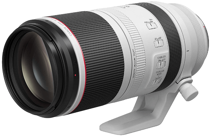 Canon RF 100-500mm f/4.5-7.1L IS USM Zoom Lens