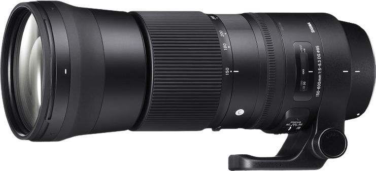 Sigma 150-600mm F/5-6.3 DG OS HSM | C for Nikon F