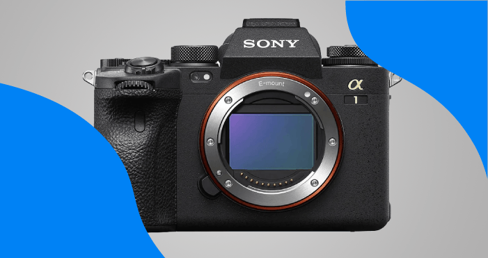 Best Cameras for Safari Sony a1