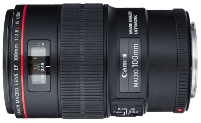 11 Best Canon Lenses for Portraits  Top Picks 2023   - 99