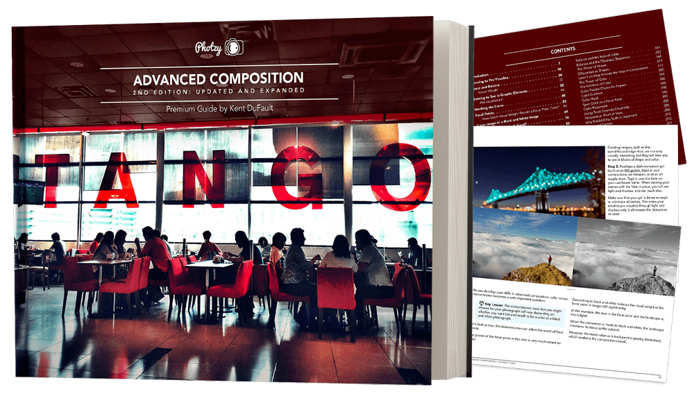 Photzy Advanced Composition eBook Review  79  Discount - 77