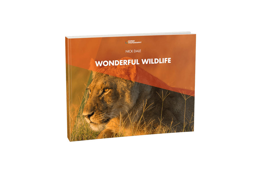 Wonderful Wildlife