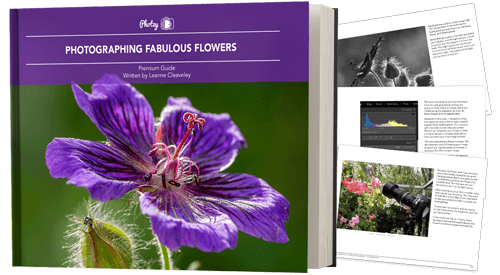 Photzy’s Photographing Fabulous Flowers
