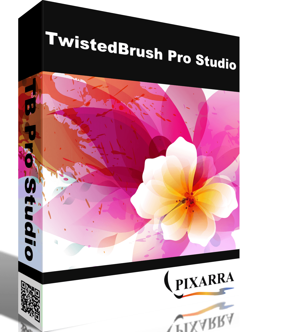 TwistedBrush Pro Studio 25