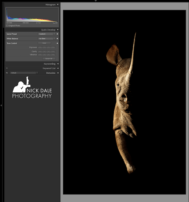 Screenshot of a rhino image in Lightroom with a histogram