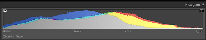 Histogram of a well-exposed image