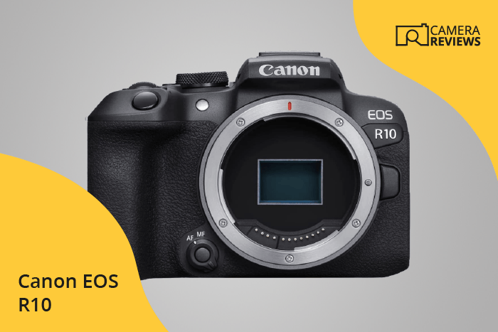 Canon EOS R10 photographed on a colored background