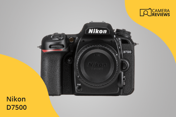 Nikon D7500 photographed on a colored background