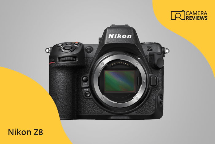 Nikon Z8 photographed on a colored background