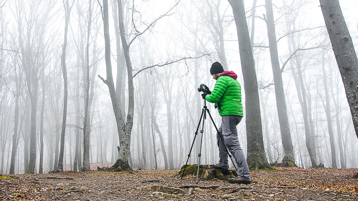 A man shooting fog photography in a forest 