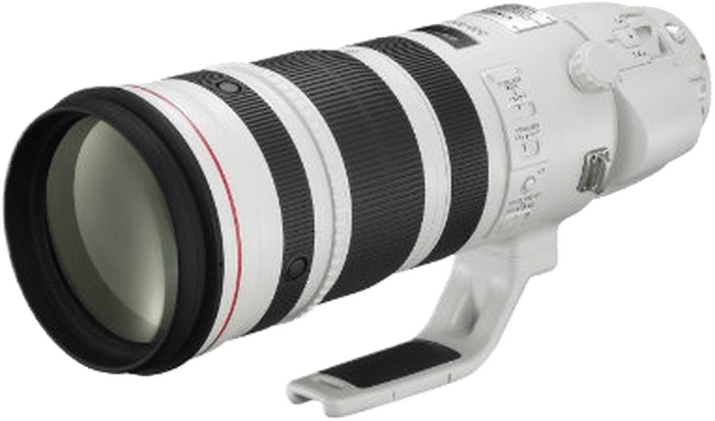 Canon EF 200-400mm F/4L IS USM Extender 1.4X