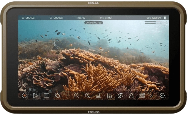 Atomos Ninja 5.2 4K Recording Monitor